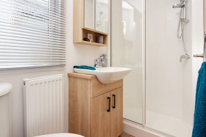 Bellevue-shower-web