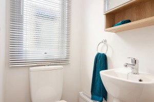 Bellevue-toilet-web